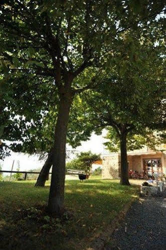 Il Casale Di Mario Villa Montecchio  Bagian luar foto